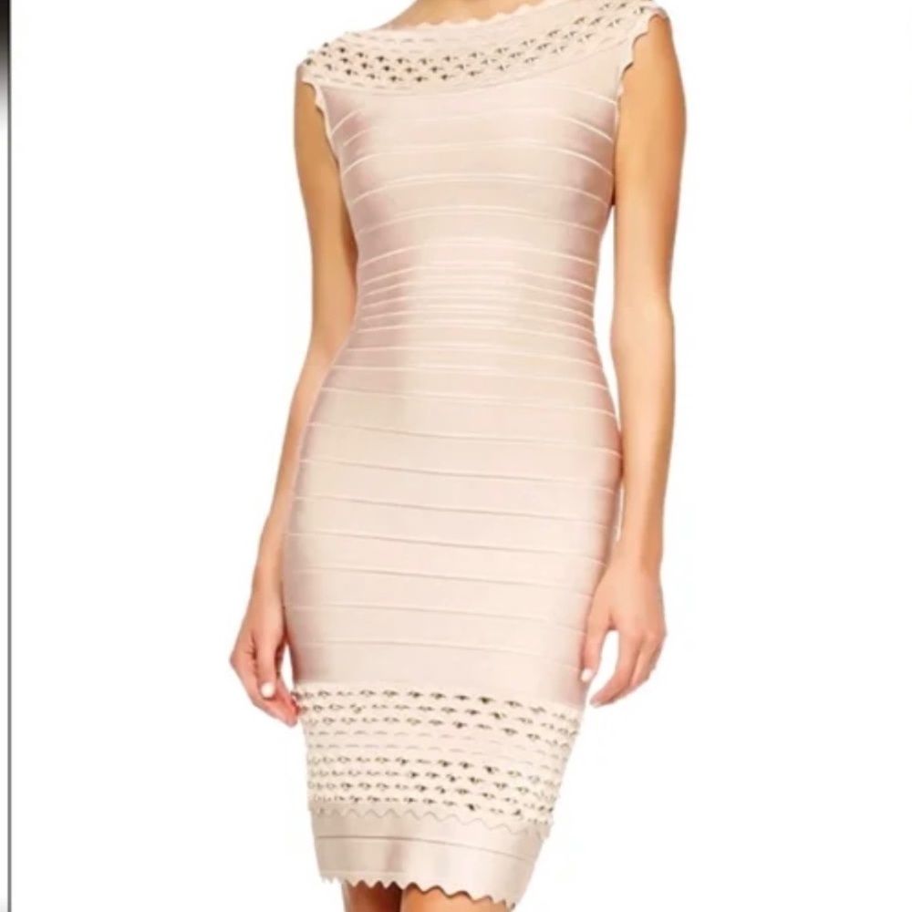 Herve Leger Ardell dress